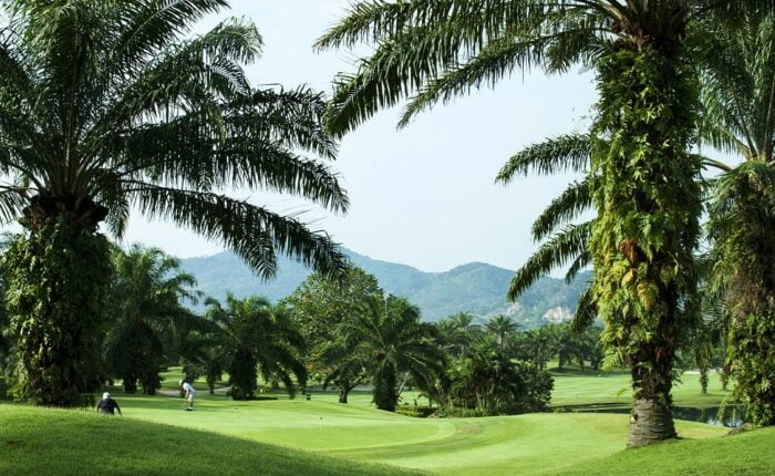 A Day in the Life of a Phuket Golfer