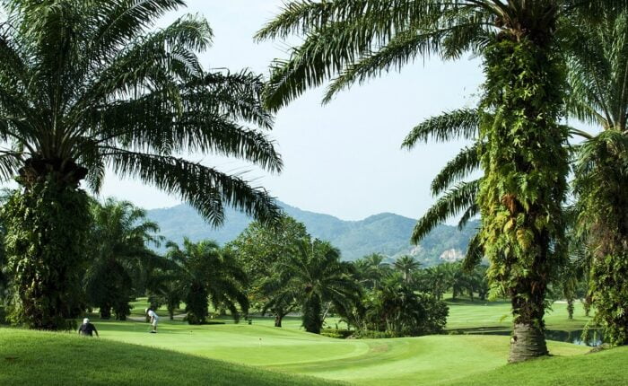 A Day in the Life of a Phuket Golfer